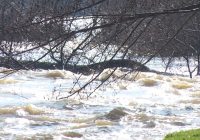 Порасна водостојот на река Пчиња