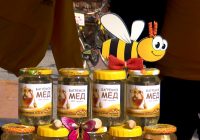 ВИДЕО: „Саем на мед“ по повод 11-ти Ноември