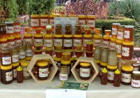 ВИДЕО: „Саем на мед“ за Денот на градот