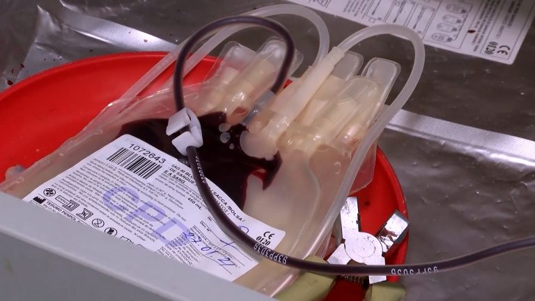 Коледарите ја спроведоа крводарителската акција во чест на Тоше