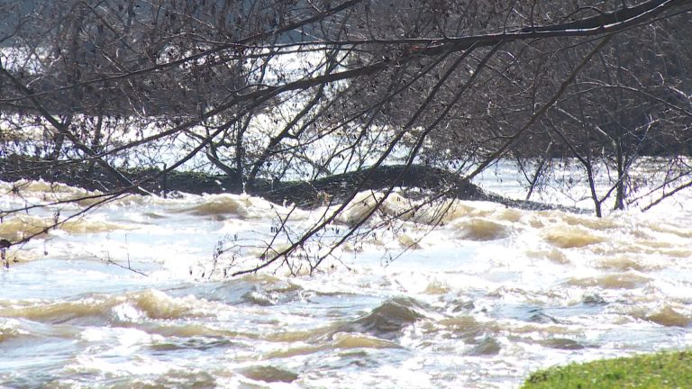 ПОРАСНА ВОДОСТОЈОТ НА РЕКА ПЧИЊА