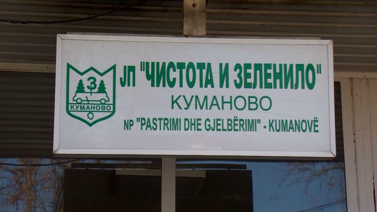 ЈП„Чистота и зеленило“ активно работи на раззеленување на градот