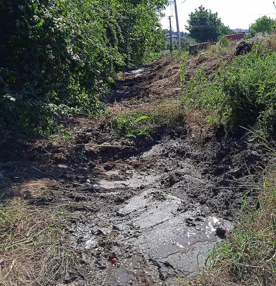 210115361_323720816127172_8973632042235996636_n