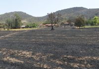 ВИДЕО: Опожарени куќи и добиток во село Мургаш