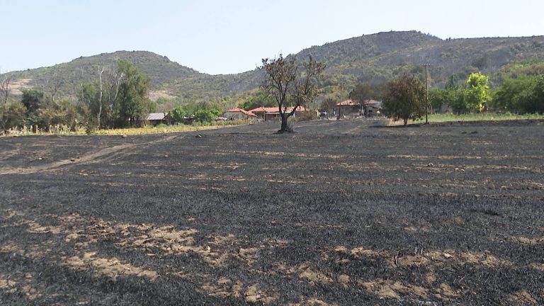 229760768_1207439349680312_1014439364935445443_n