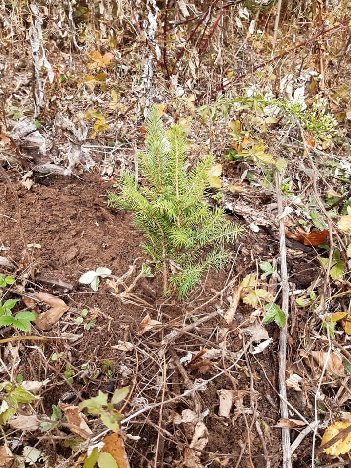 247656147_344730530784236_1625520198825065094_n