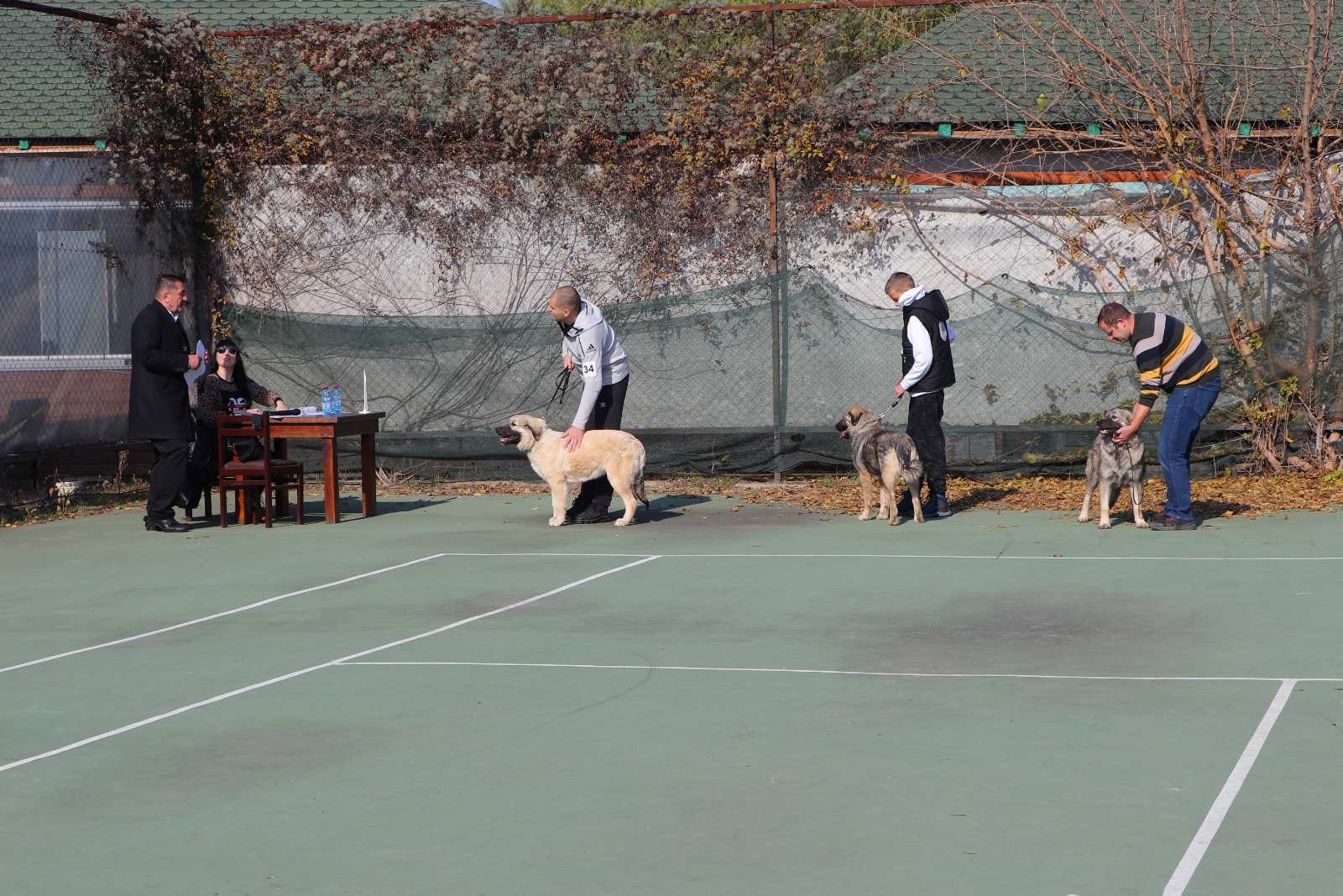 256599172_2404773256319767_7299653282936502457_n