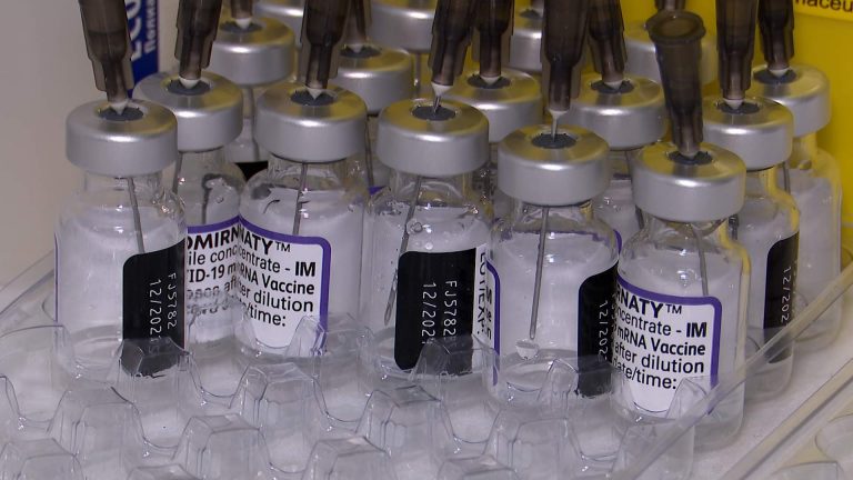 fajzer