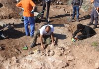 (ВИДЕО) Археолозите ја потврдија црквата на Бислим