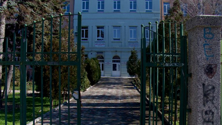 krste misirkov skola