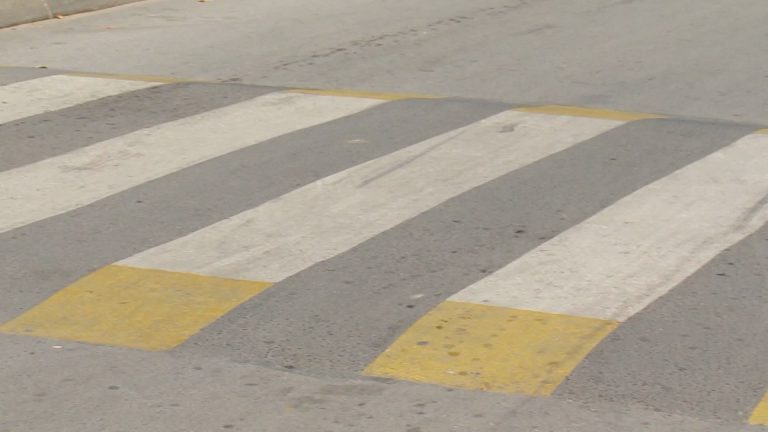 LEZECKI POLICAJCI