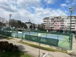 tenis
