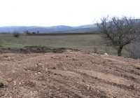 ВИДЕО: И жителите на Шупли камен реагираат на закопувањето на свињите