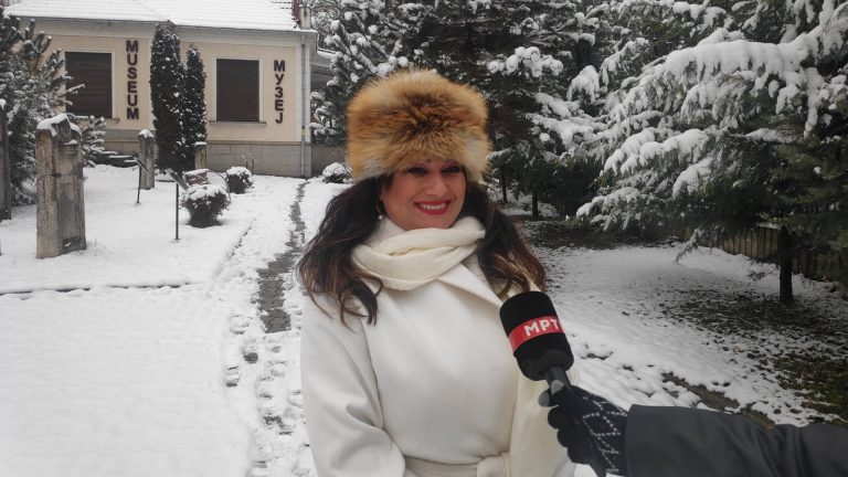 ani muzej