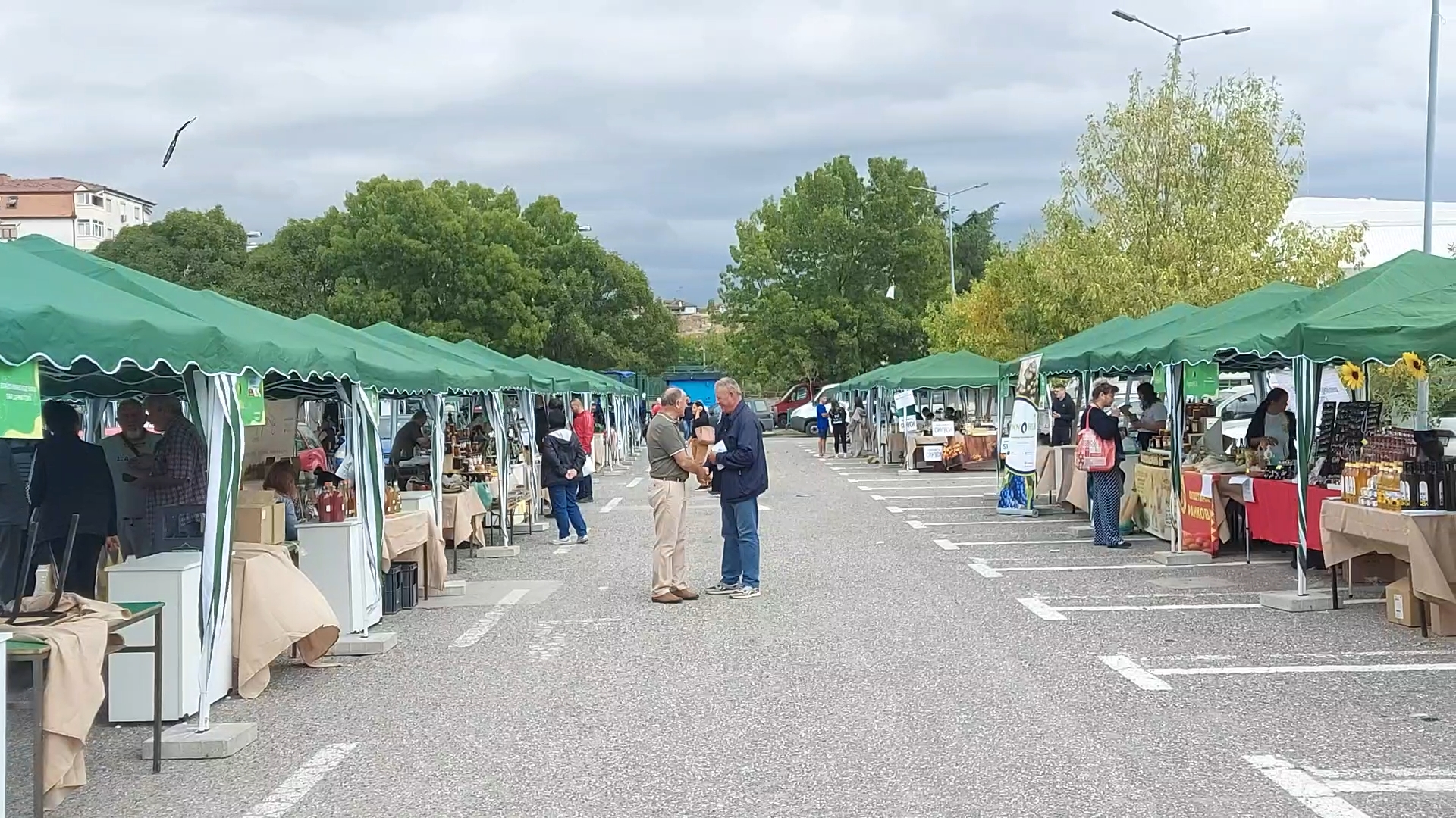 Still 2025-09-26 163046_1.64.1