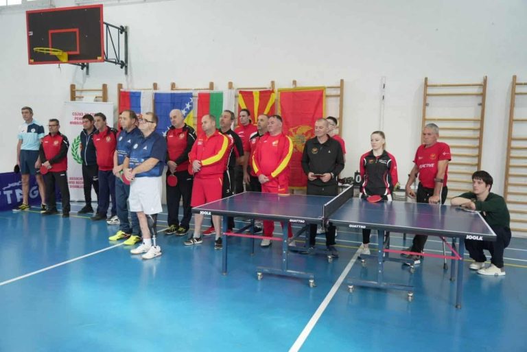 para ping pong