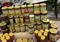 ВИДЕО: Купувајте мед од локалните производители, порака од пчеларското здружение „Пчела“