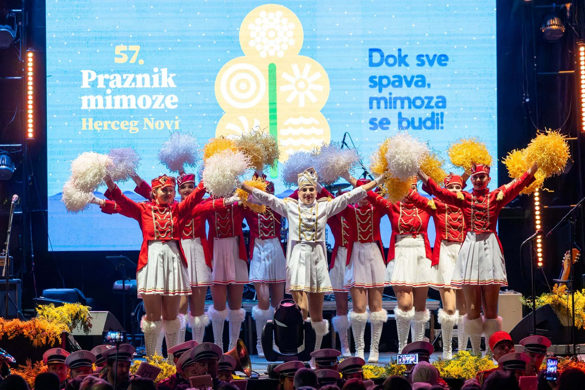 mimoza