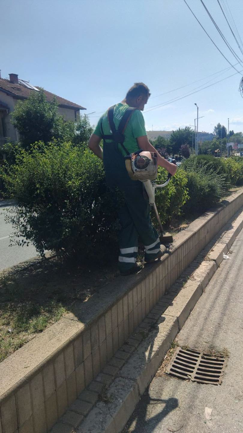 cistota sadnici bulevar